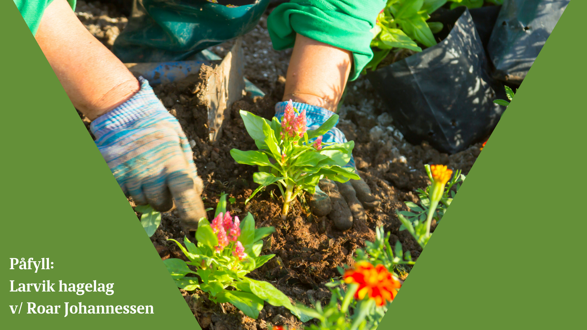 Påfyll -  Larvik hagelag ved Roar Johannessen