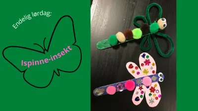 Endelig lørdag: Ispinne-insekter