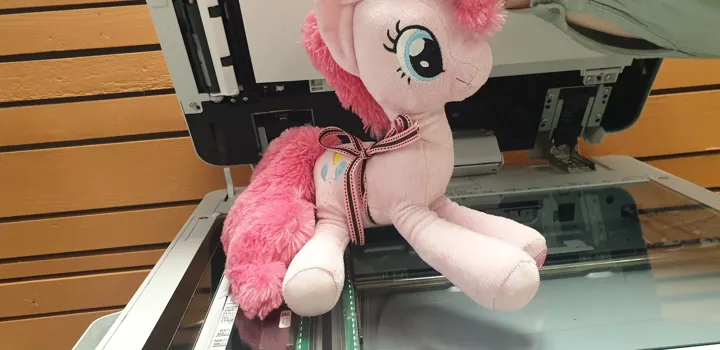 rosa hest (kosedyr) på kopimaskinen. Foto