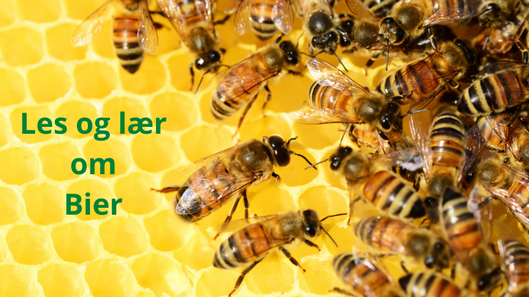 Bøker om bier