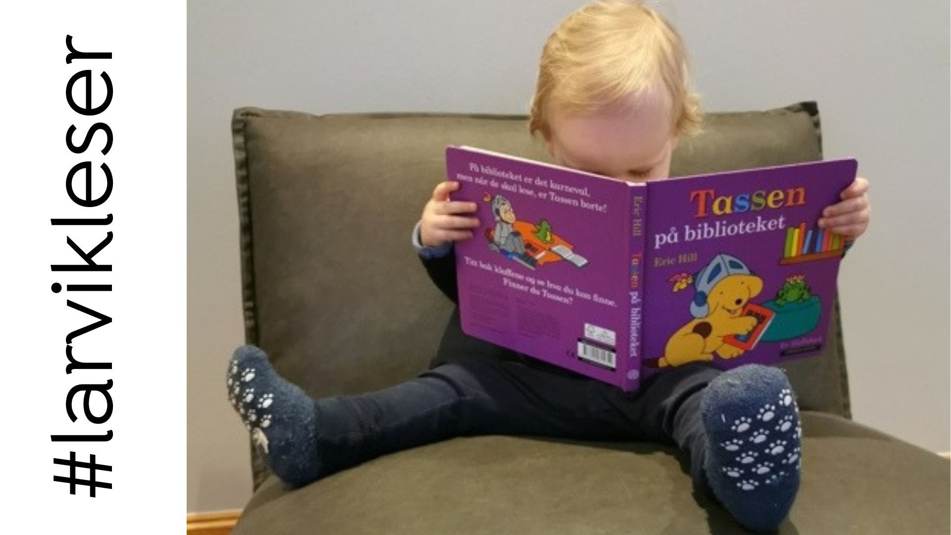 #larvikleser
