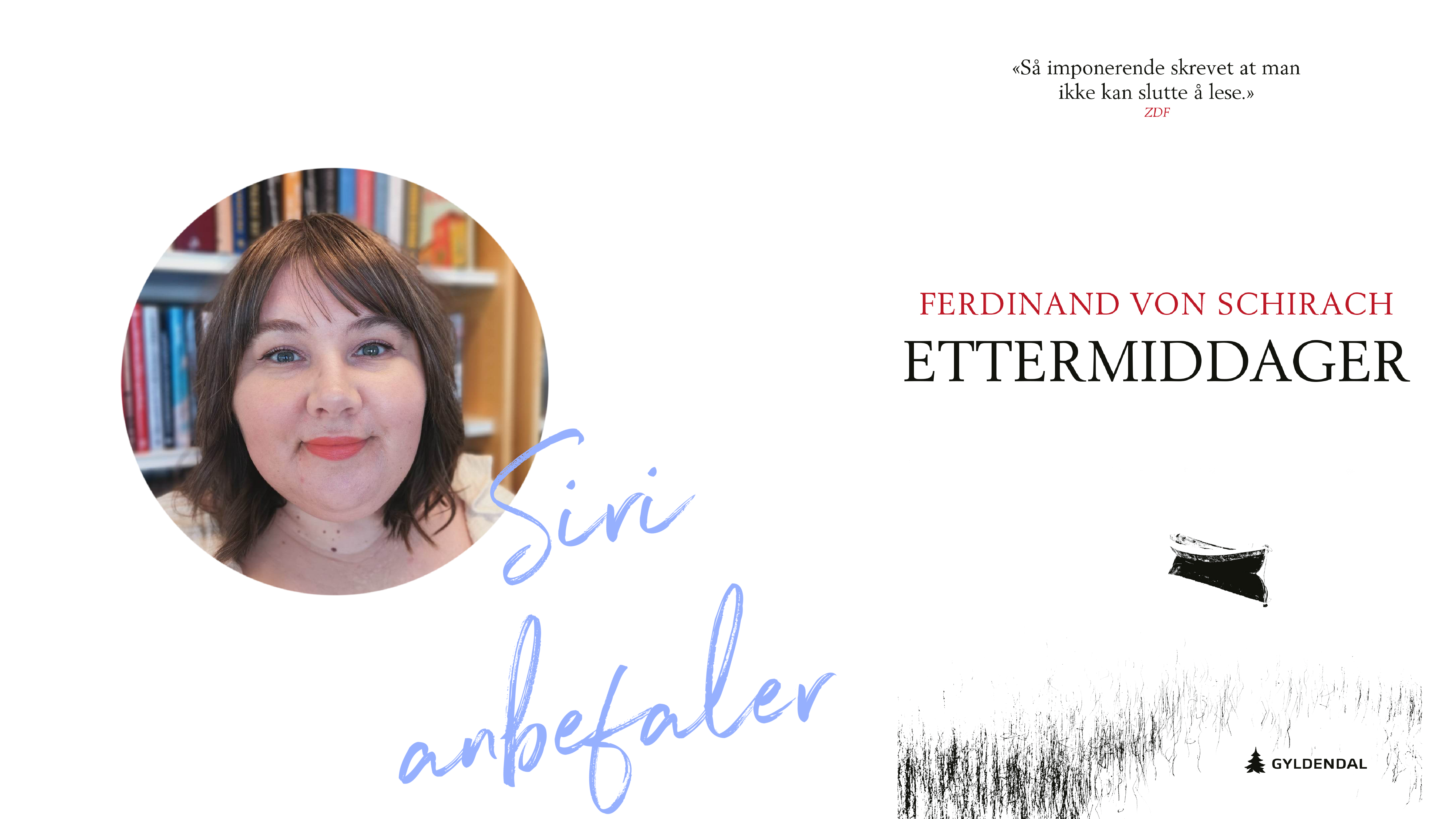 Boktips: Ettermiddager av Ferdinand von Schirach