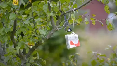 Mat til sultne fugler