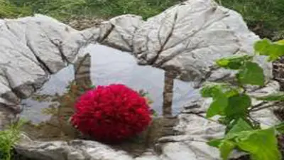 Støp et flott fuglebad i betong