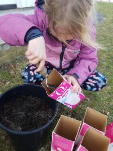 Ei jente fyller jord i en melkekartong. Jorda tar hun fra en bøtte. Foto