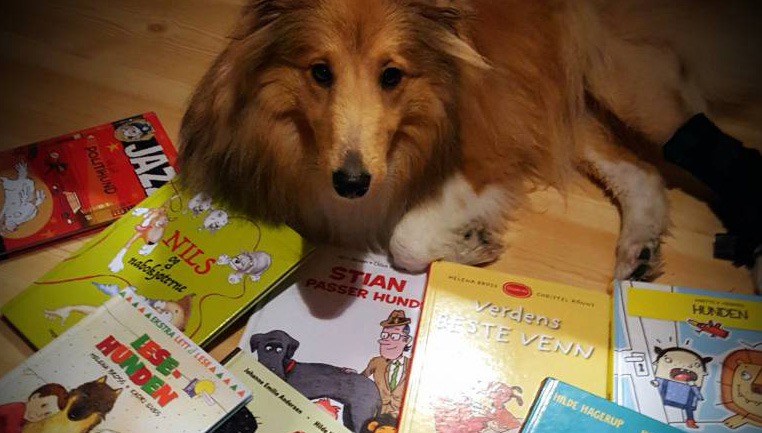 Lesehunden og andre hundehistorier