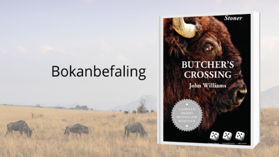 Bokanbefaling: Butcher`s Crossing av John Williams