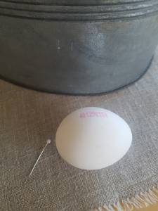 Egg og knappenål. Foto