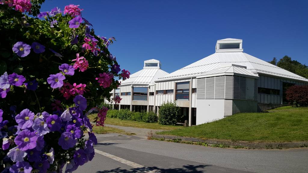 Bibliotekbygget i Nansetgata 29 før det brant i 2019. Rosa og lilla blomster i forgrunnen, bygget sees med to av tre tårn. Foto