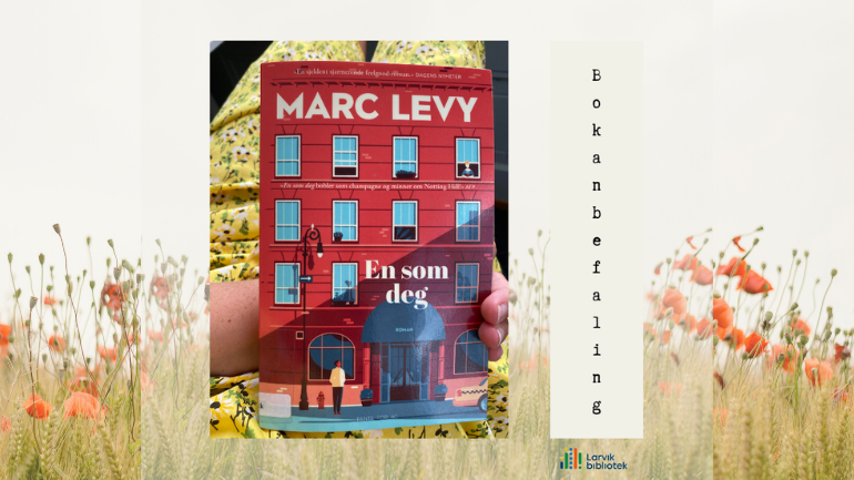 Bokanbefaling: En som deg av Marc Levy