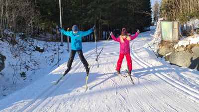 Skilek