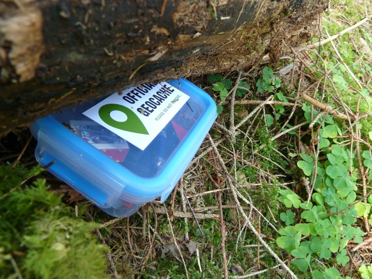 En plastboks med geocashing merke på. Foto