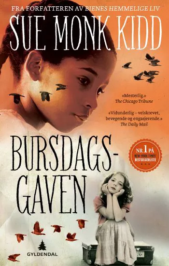 Bokomslag som viser profilbilde av ei mørk jente med flette og ei lys jente sittende på en koffert med ansiktet i hendene sine. Collage