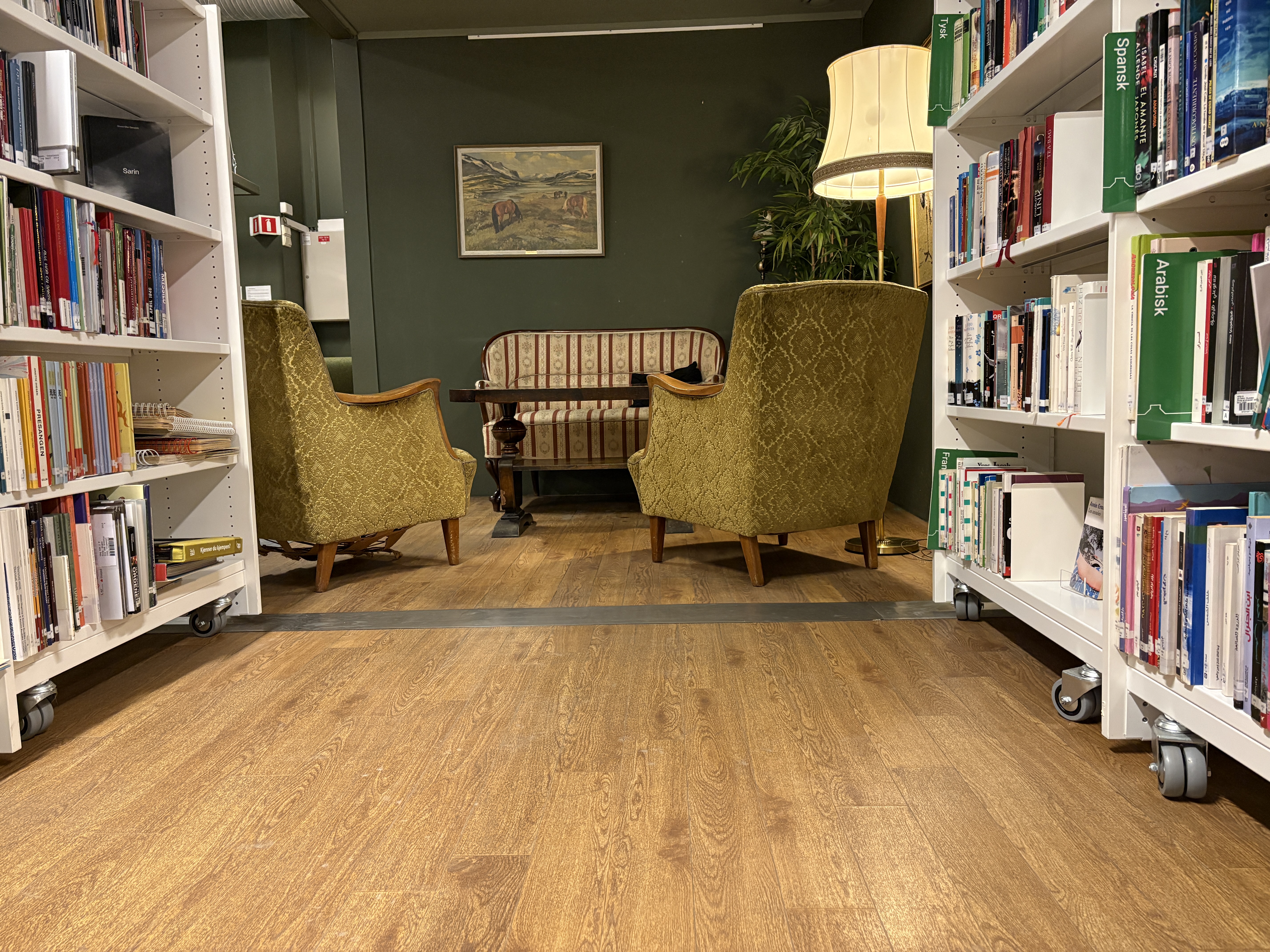 Kosekroken ved ungdomsavdelingen. Også kalt "Natta". Foto