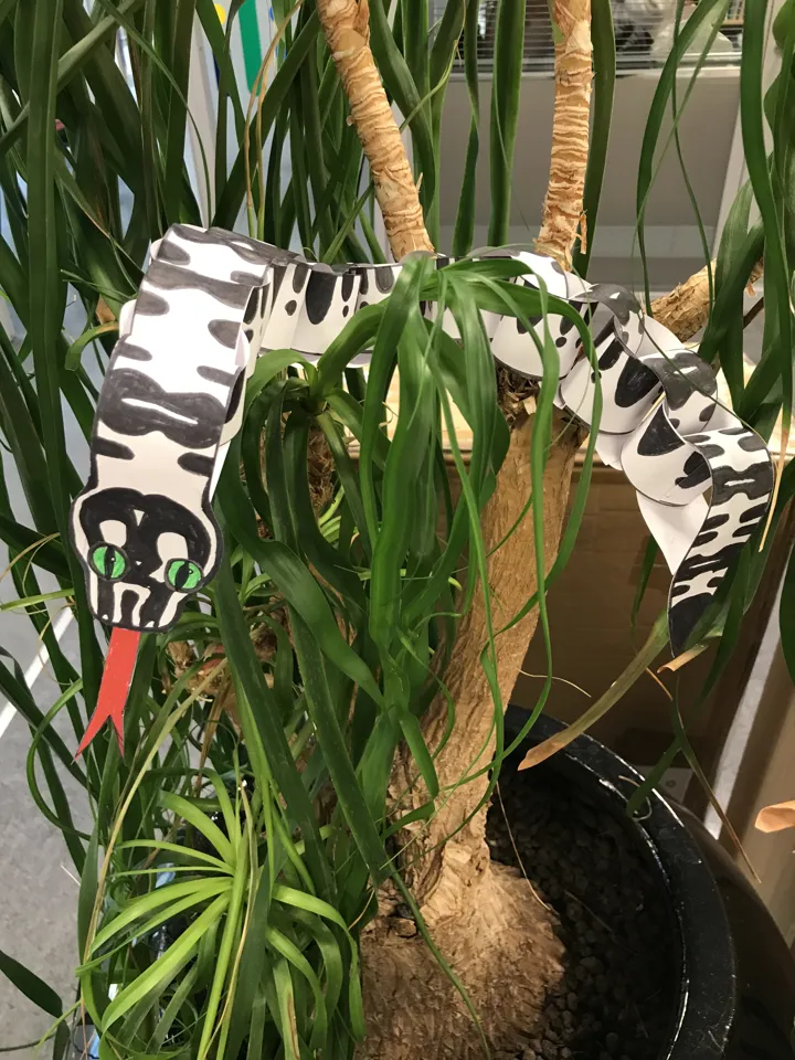 En papirslange i en palme!!! Foto