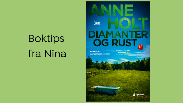 Boktips:  Diamanter og rust av Anne Holt