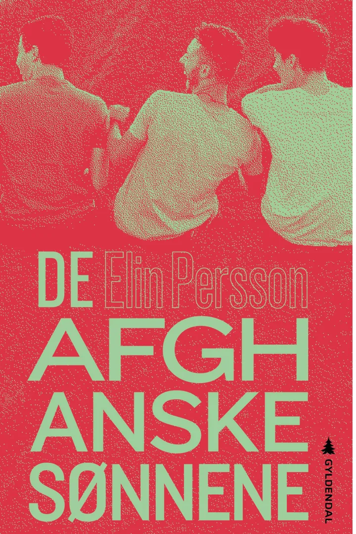 På bokomslaget er det skrevet med store bokstaver: De afghanske sønnene.  Over skriften er det bilde av tre unge menn som sitter med ryggen til.