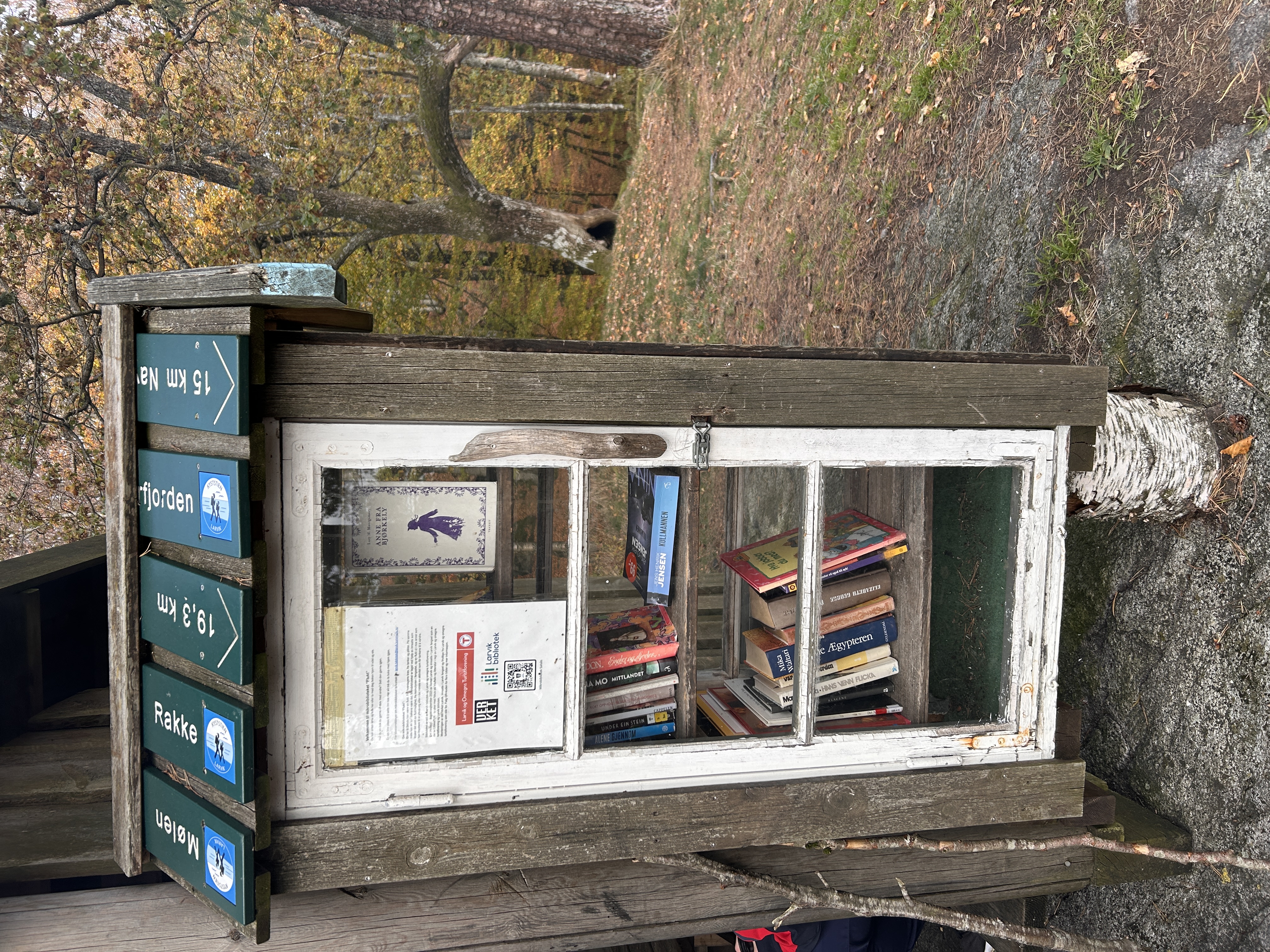 Foto av mikrobiblioteket