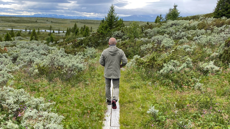 Valga vi tar - Grønn måned på Larvik bibliotek - Lesetips