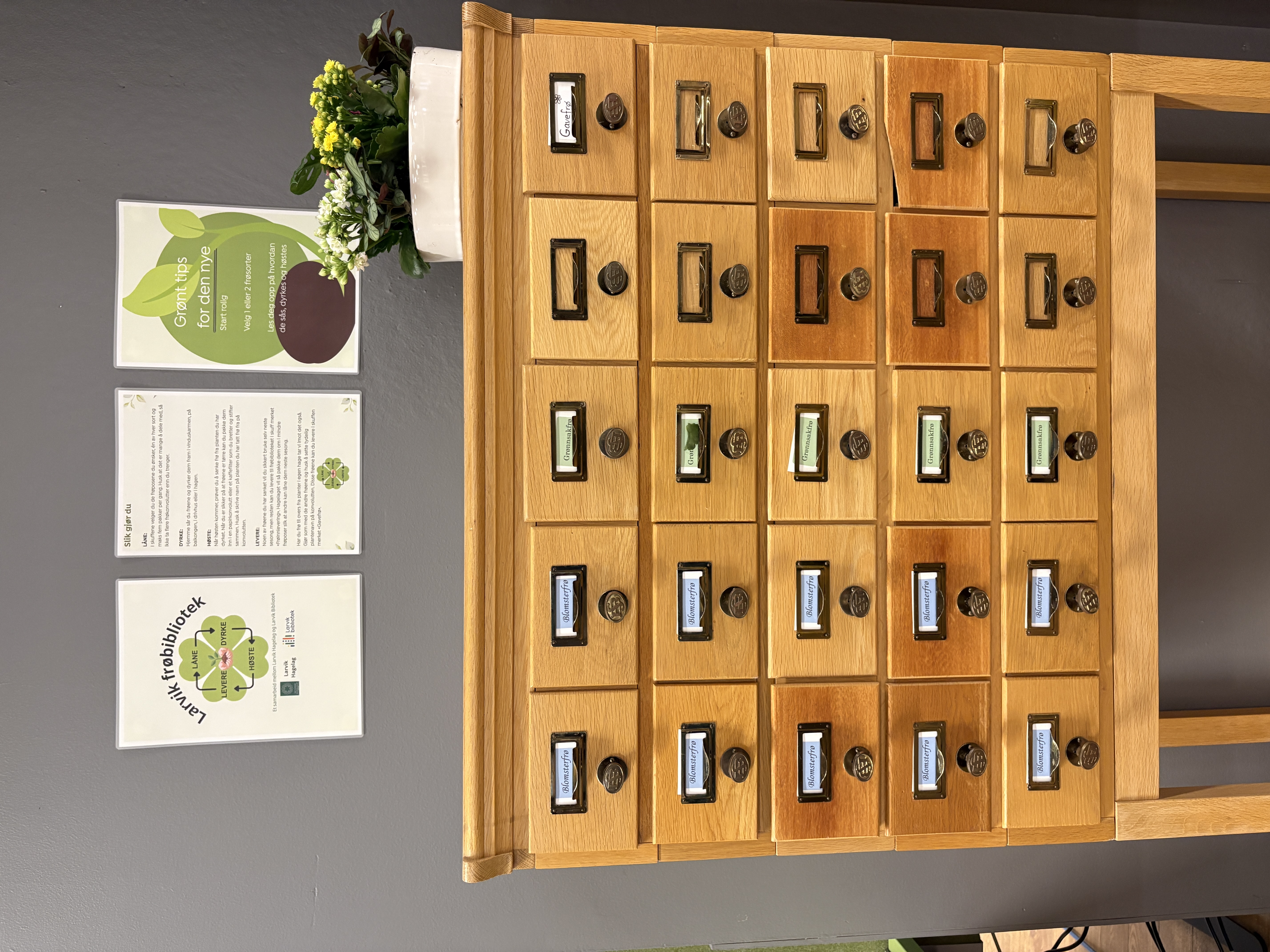 Bildet viser Larvik frøbibliotek som består av en gammel kortkatalog fra biblioteket (mange skuffer i en slags kommode). Det står blomster på toppen av katalogen, og henger plakater om frøbiblioteket over. Foto