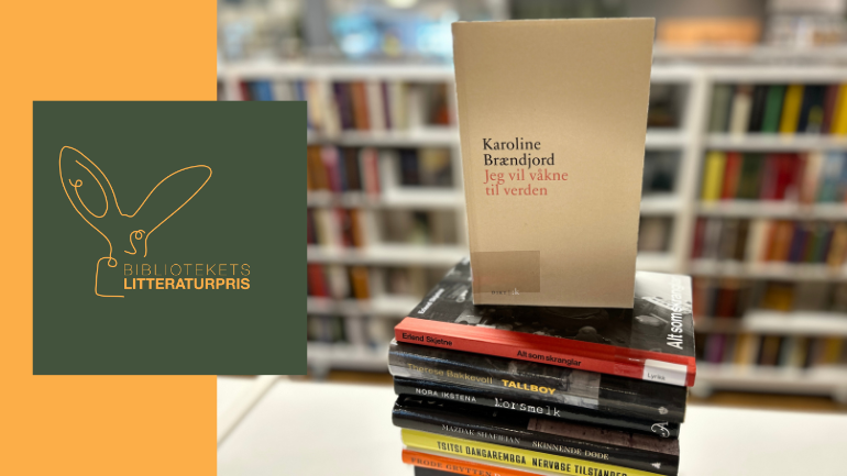 Nominert til bibliotekets litteraturpris: Jeg vil våkne til verden av Karoline Brændjord