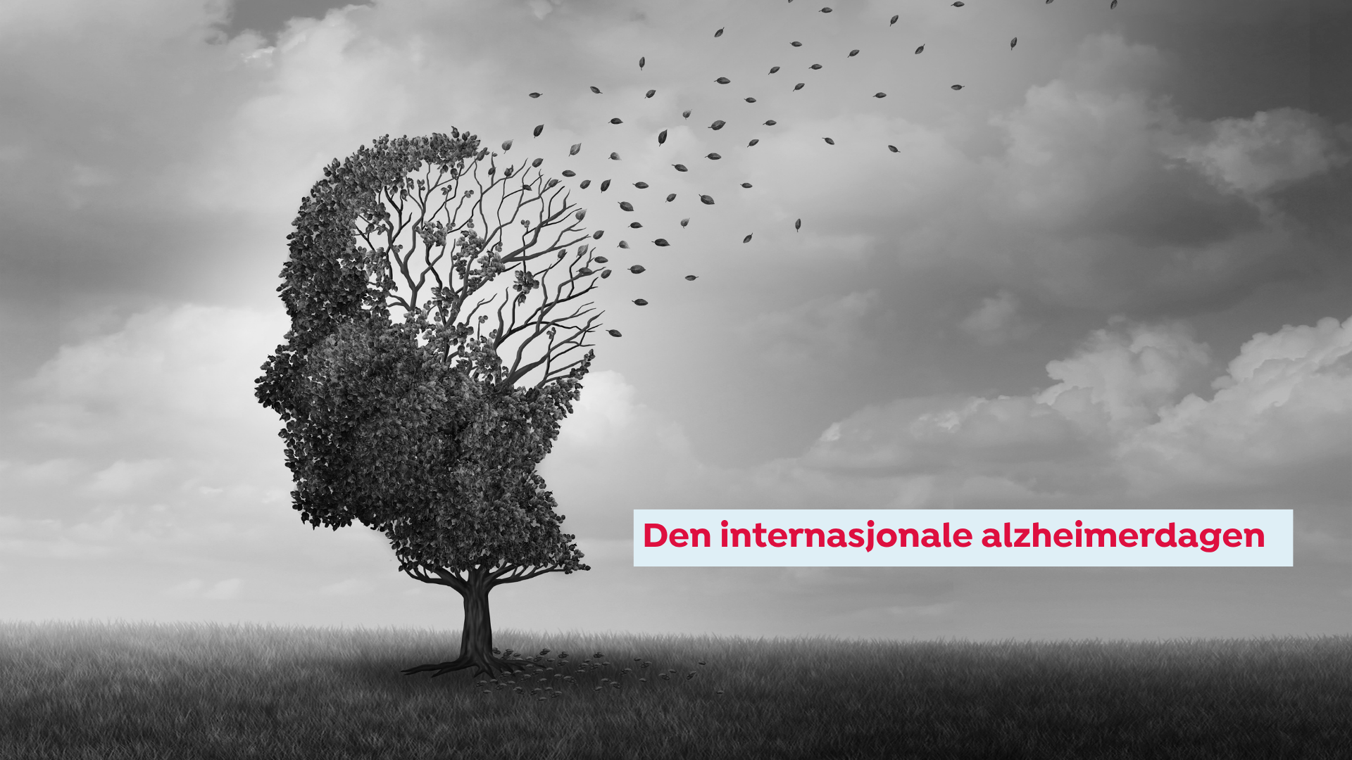 Den internasjonale alzheimerdagen