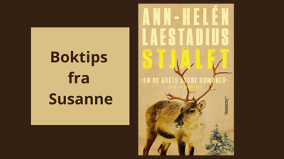 Boktips: Stjålet av Ann-Helén Laestadius
