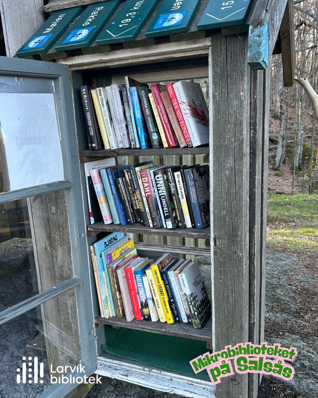 Mikrobiblioteket.jpg