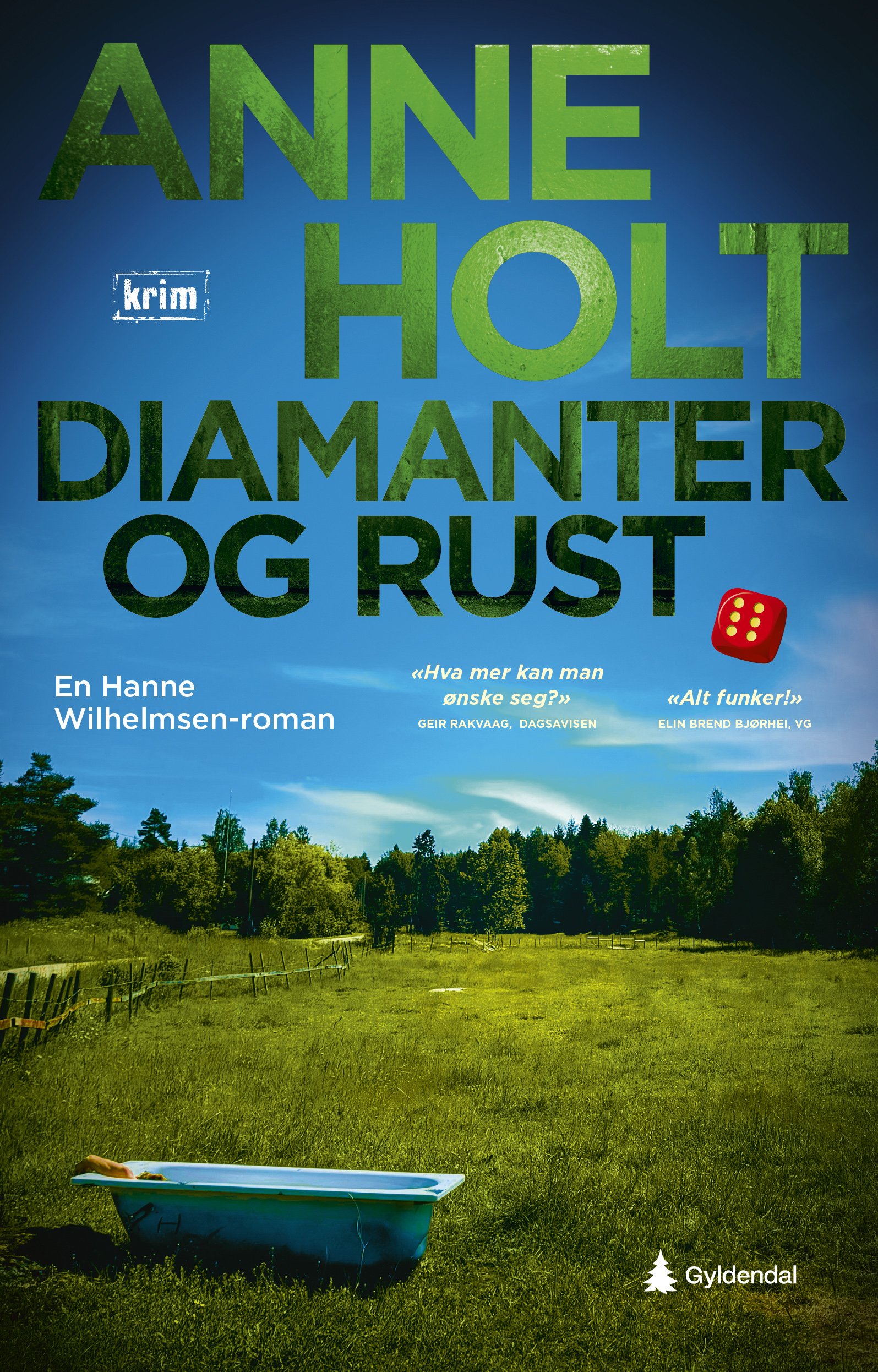 Bilde av dyp blå himmel, en mørk grønn skog og grønt gress. Rundt gresset er et gjerde og innenfor gjerdet står et  blått badekar. En arm stikker opp av badekaret. Øverst på bilde står det med stor skrift: Anne Holt - Diamanter og rust. Med lite skrift: Krim - en Hanne Wilhelmsen roman. Bokomslag.