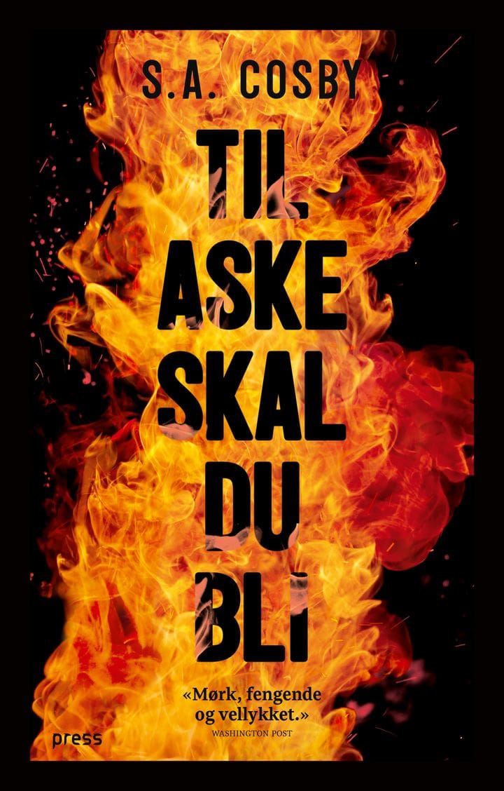 Bokomslag av boka Til aske skal du bli. 