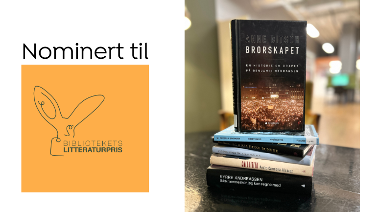 Boktips: Brorskapet av Anne Bitsch