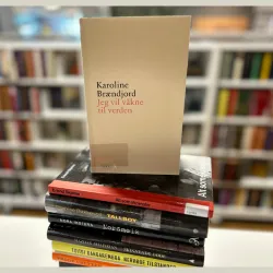 En bokstabel som viser de ti nominerte bøkene til bibliotekets litteraturpris. På toppen står boka "Jeg vil våkne til verden"
