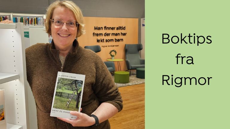 Boktips: Sent på dagen av Kristin Vego