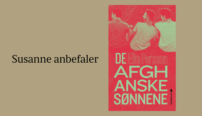 Boktips: De afghanske sønnene av Elin Persson