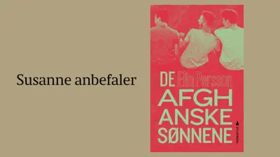 Boktips: De afghanske sønnene av Elin Persson